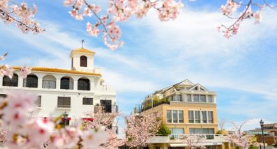 セレブ幼稚園の実態とは?